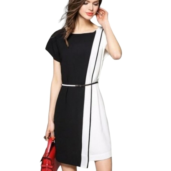 Metisu Dresses & Skirts - Metisu | Black & White Colorblock Chiffon Short Sleeve Shift Dress (Size XS)
